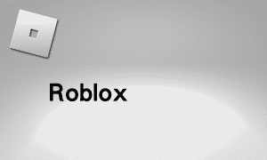 Roblox 客製單（贈禮 / 可交易物品代購）